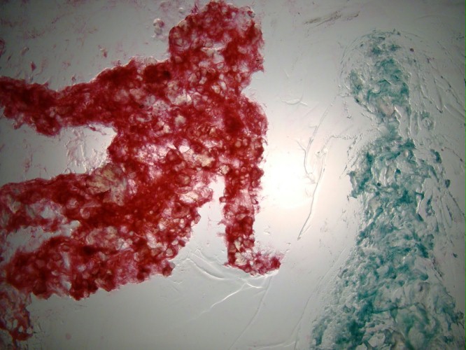 Okładka filmu Protozoa