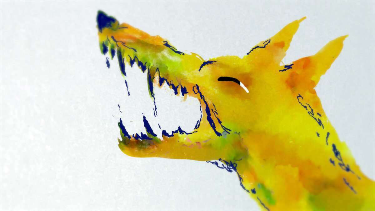 Okładka filmu Disc+Dog