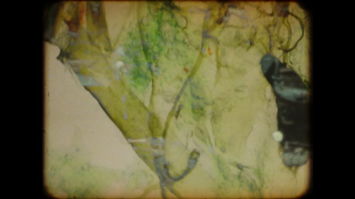 Okładka filmu Saline