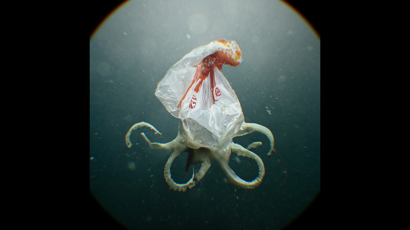 Okładka filmu PLSTC