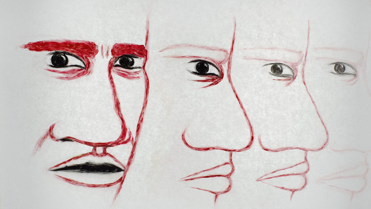 Okładka filmu A lively discussion with the voice hearers