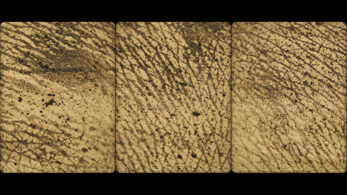 Kadr filmu Unnamed Road