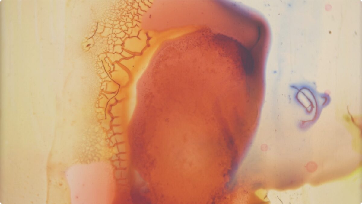 Okładka filmu Unnamed Road