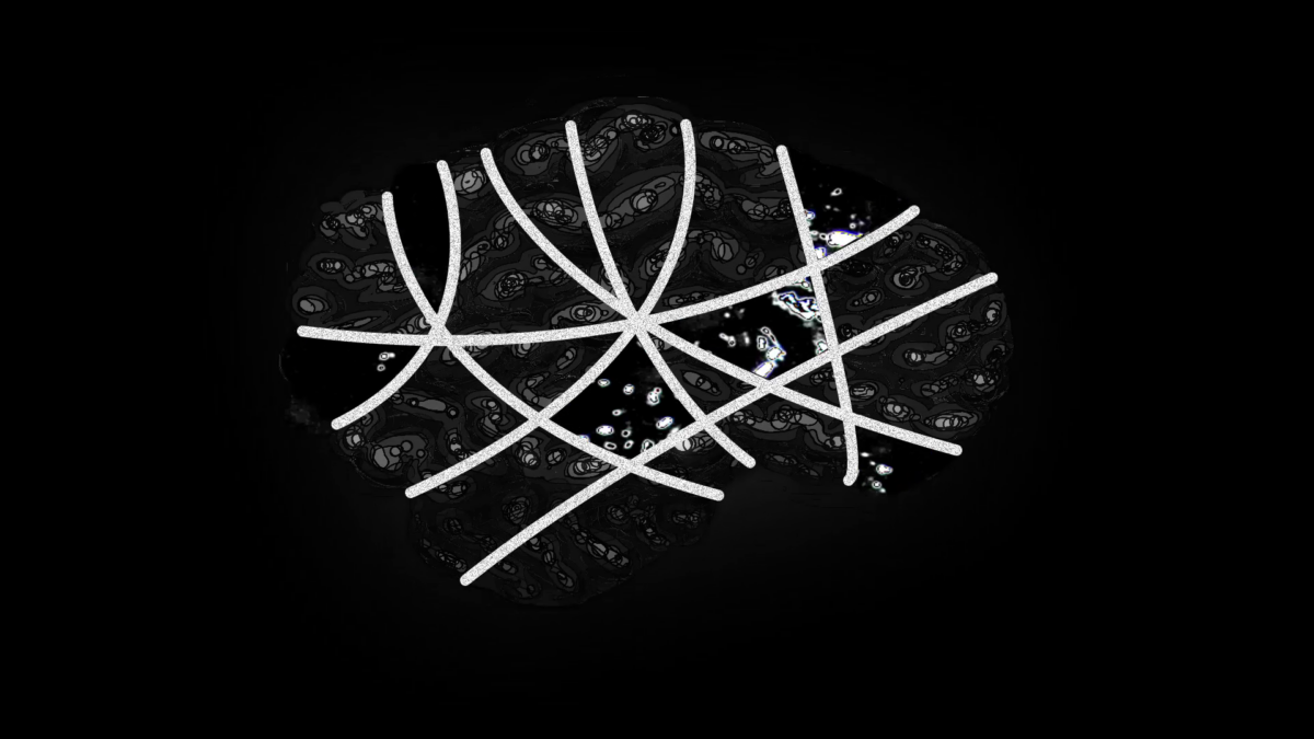 Okładka filmu Oestrum