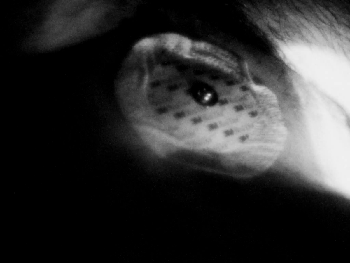 Kadr filmu This Is How I Felt