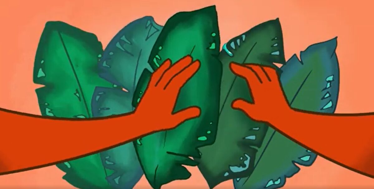 Okładka galerii Czołówka 16. edycji