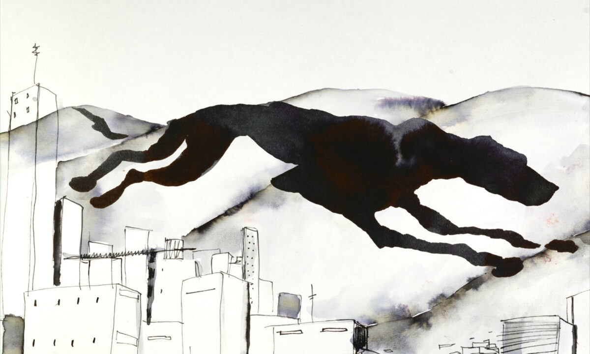 Okładka filmu La Perra