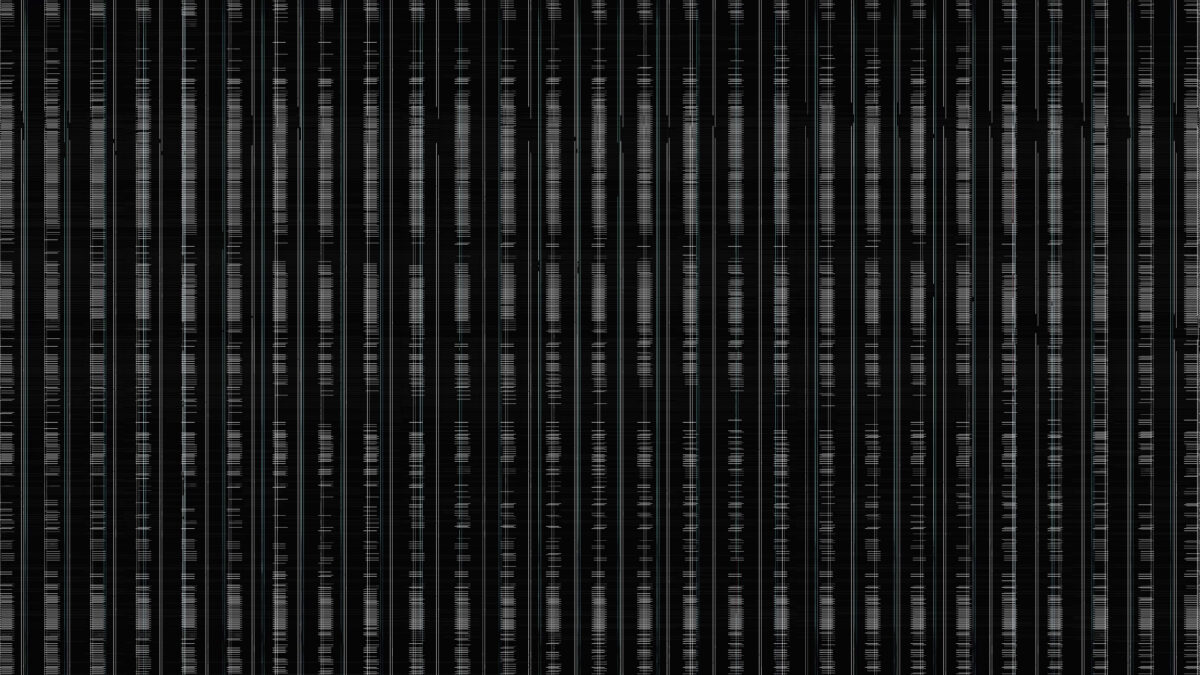 Kadr filmu From Voice to Pulse