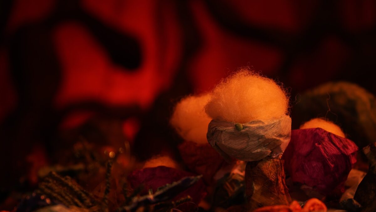 Kadr filmu Physarum Polycephalum