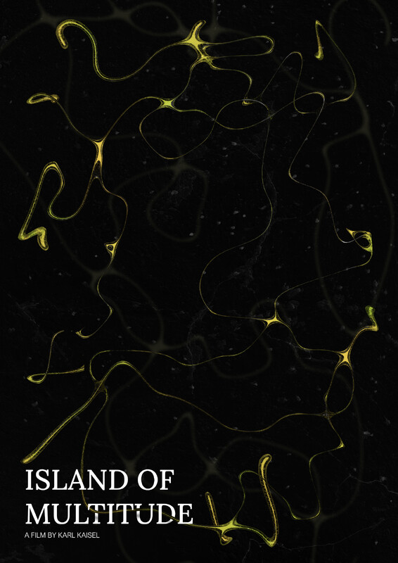 Okładka filmu Island of Multitude