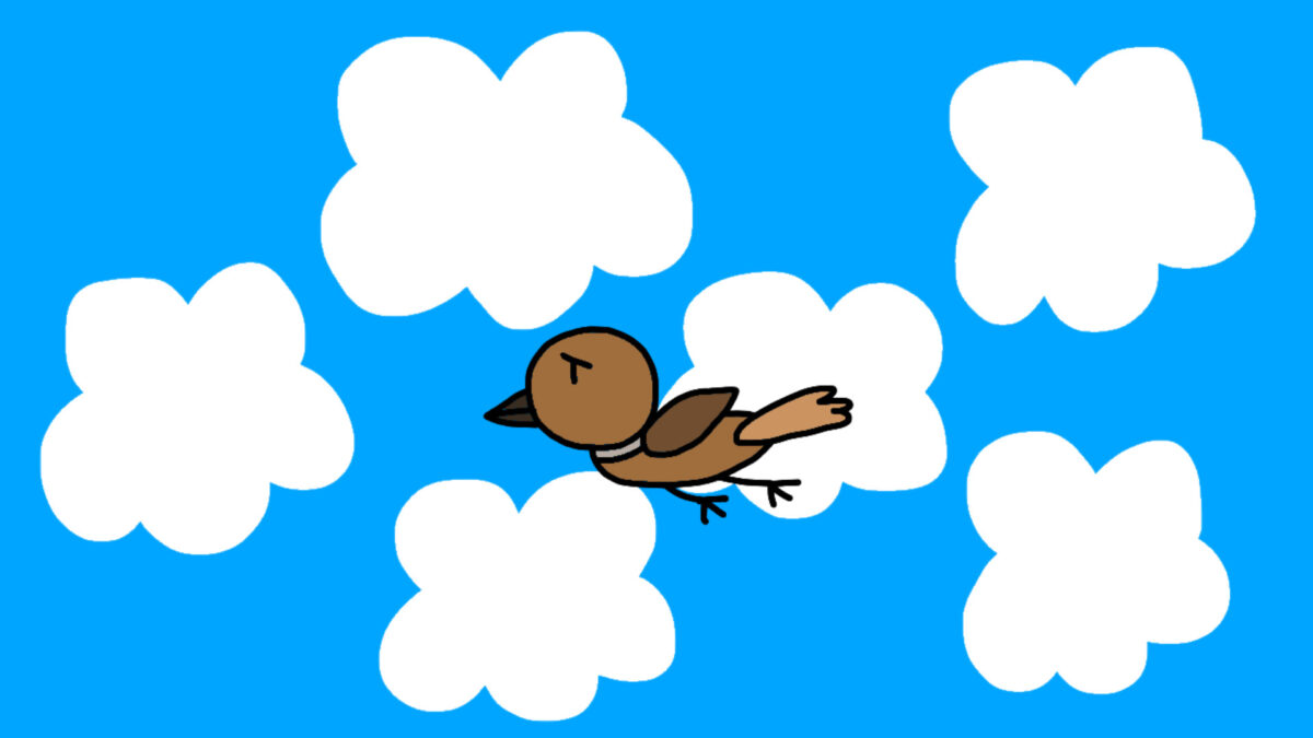 Kadr filmu Wetsitales : Tilin the Rice Bird