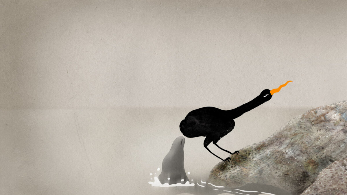 Kadr filmu Birds of Paradise