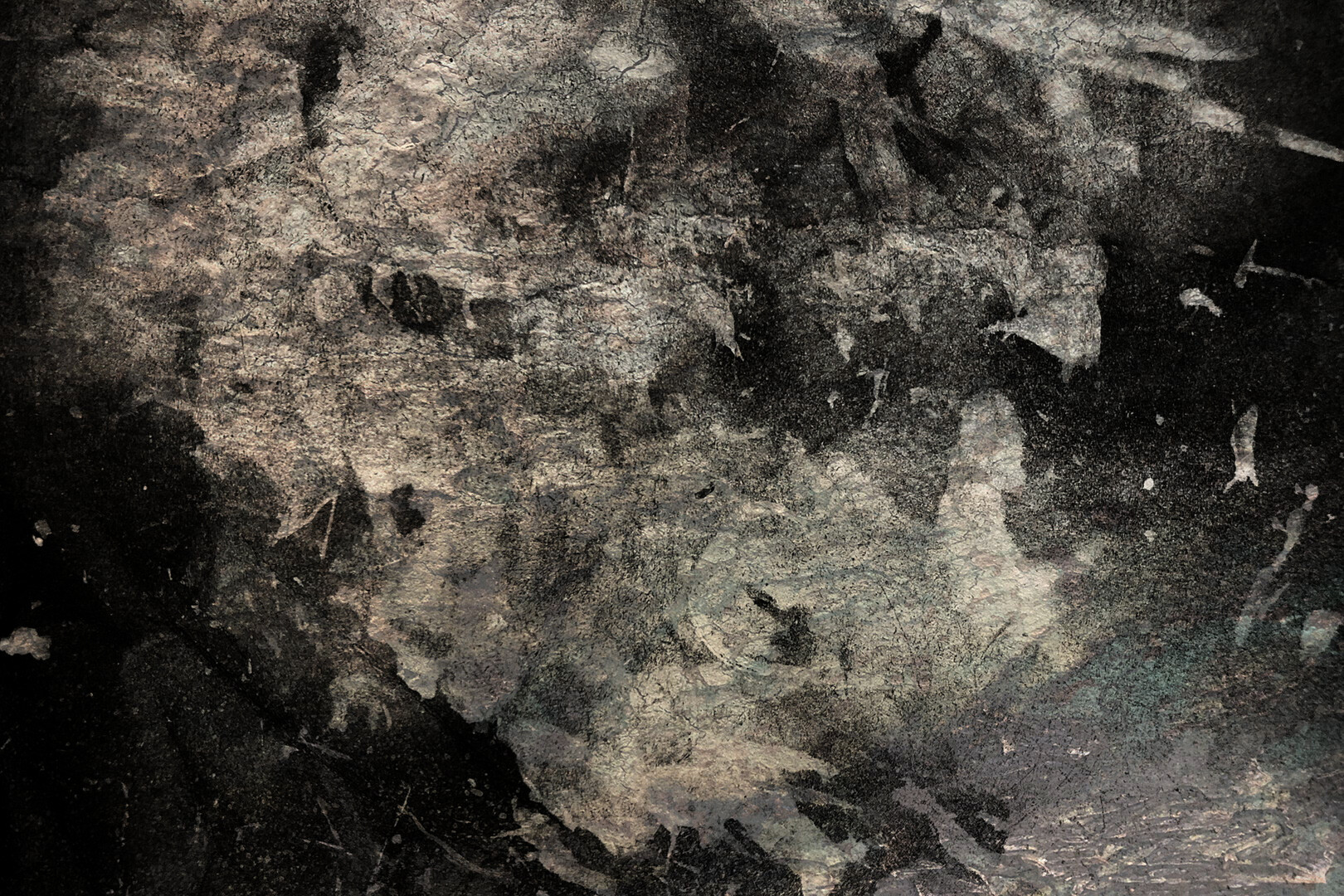 Okładka filmu Body Burden