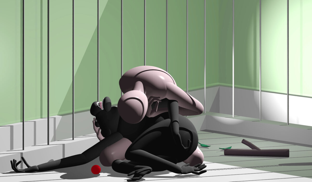 Okładka filmu Journey of Shadows