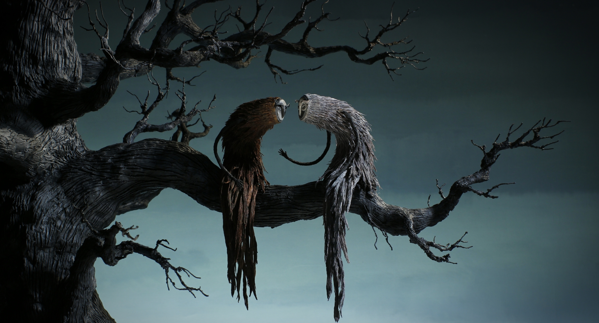 Okładka filmu Radix