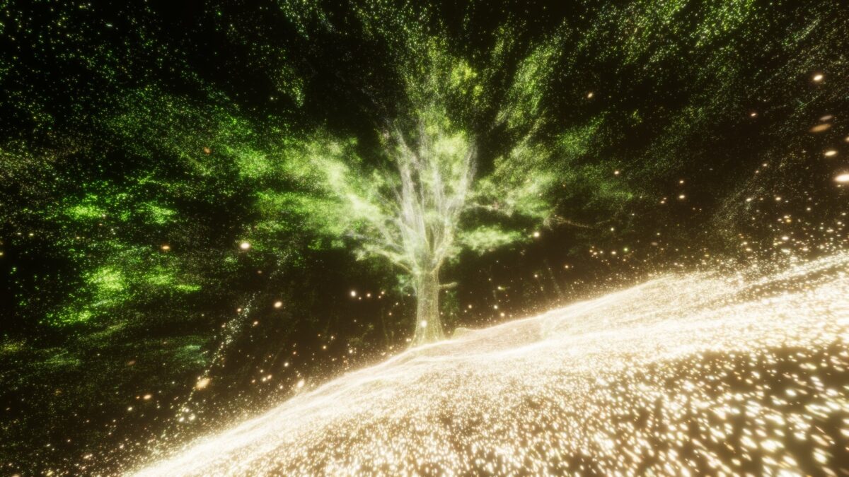 Okładka filmu This is not your Garden