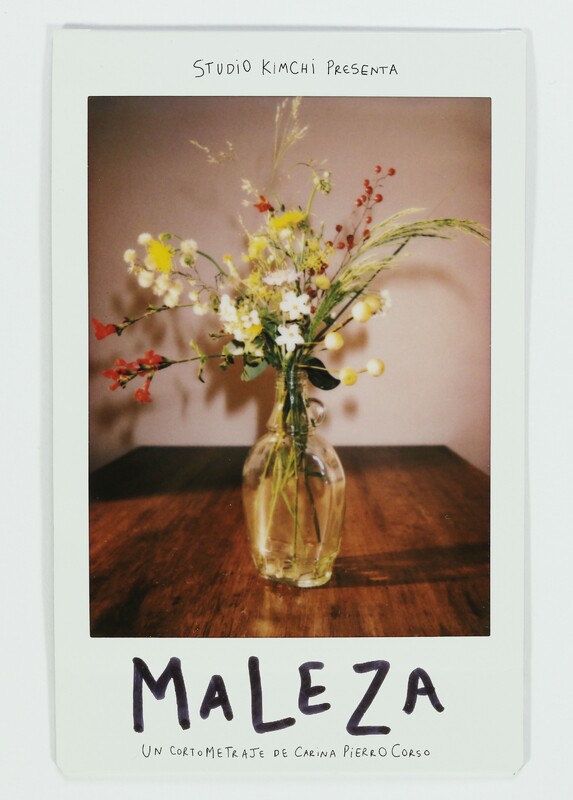 Okładka filmu Wildflower