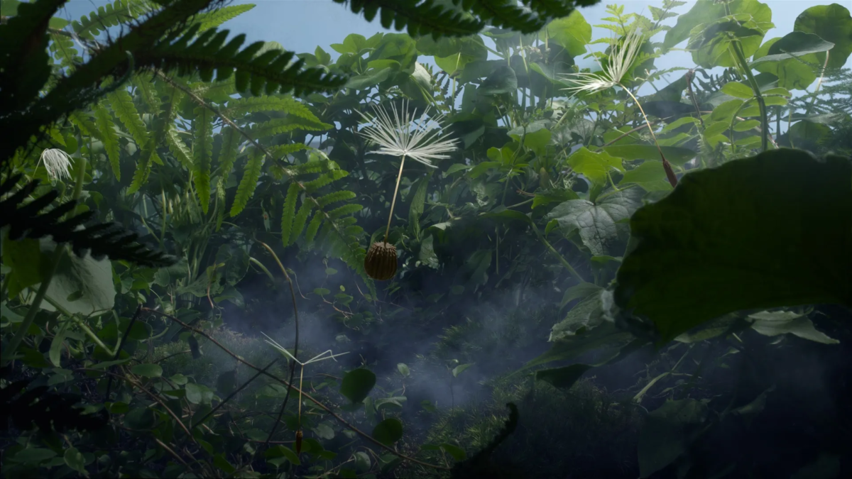 Okładka filmu Dmuchawce