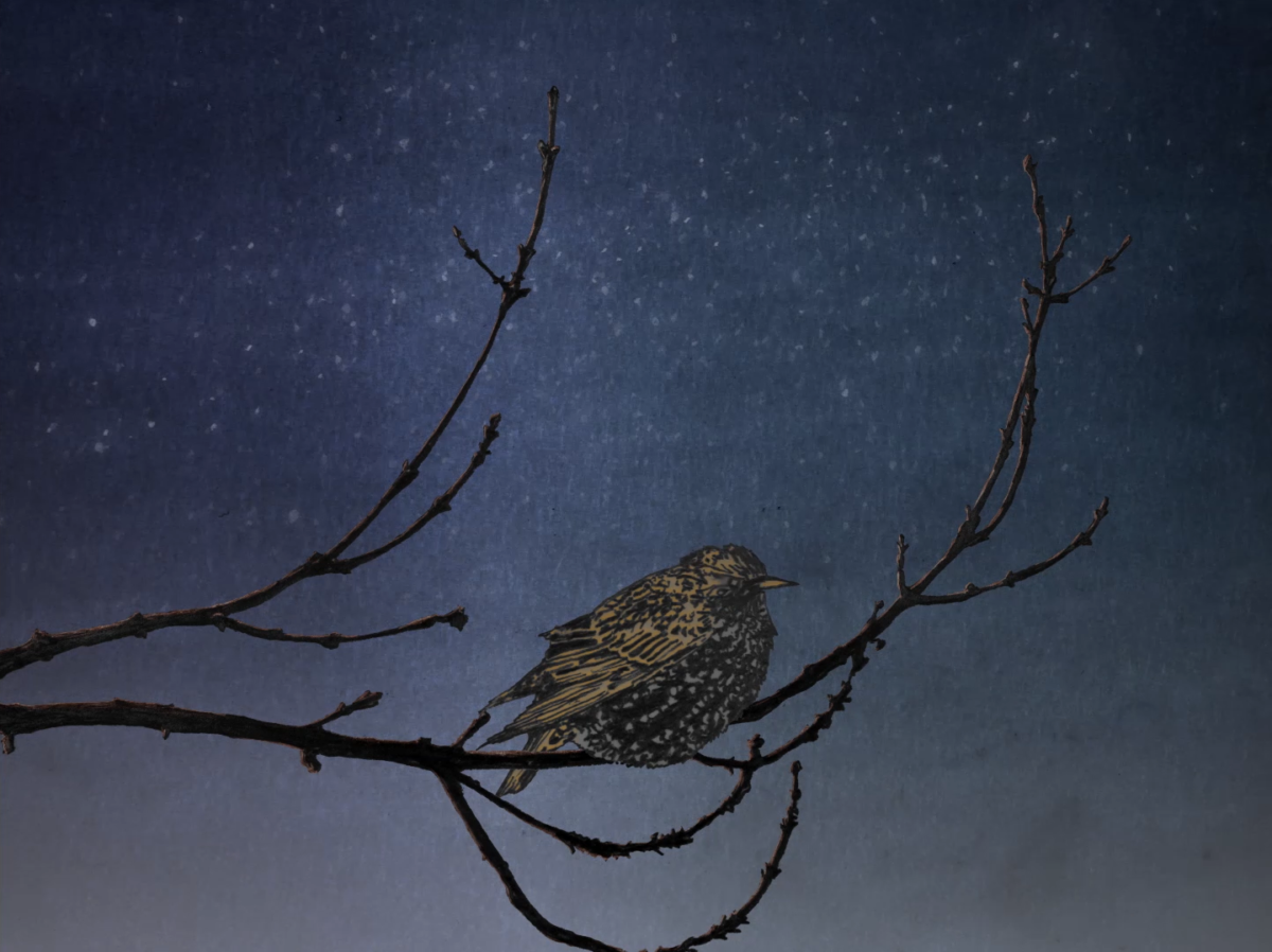 Okładka filmu Earths to Come | 13+