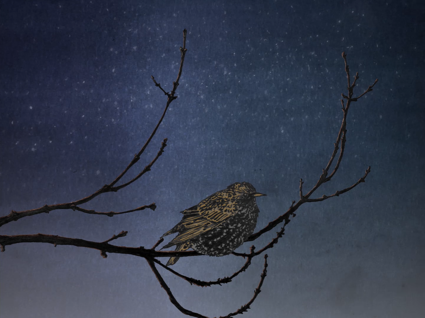 Okładka filmu Earths to Come | 13+