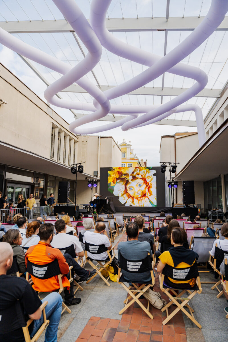 Okładka galerii Dzień 9 | Animator 2025