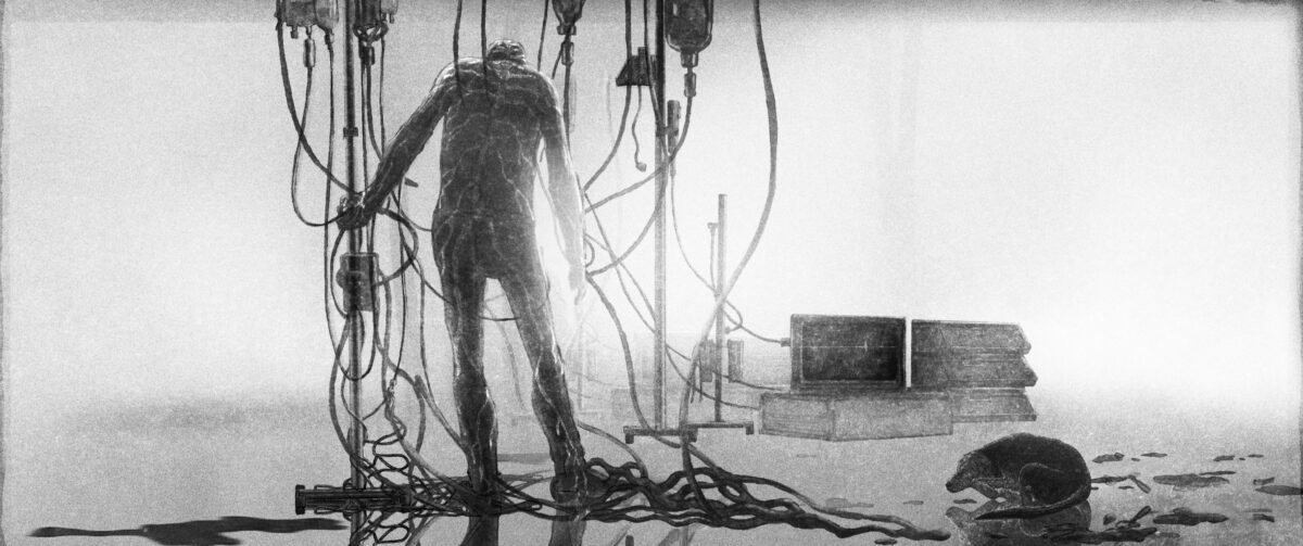 Okładka filmu Jesień 2026