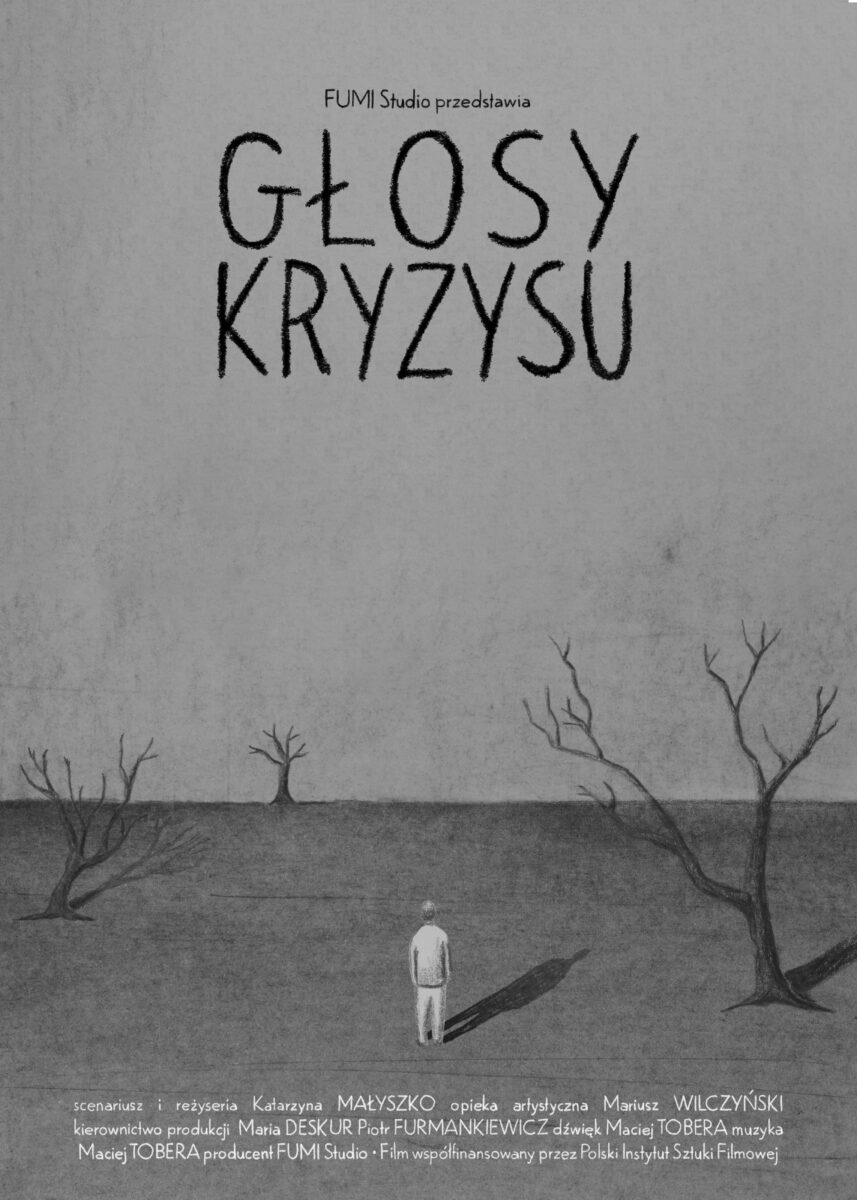 Okładka filmu Głosy kryzysu